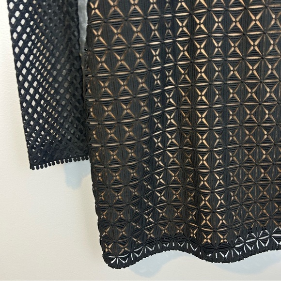 Self-Portrait Black Mesh/Tonal Lace Ruffle Long Sleeve Sheath Mini Dress Size 4 - Picture 11 of 16